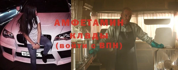 индика Алексин