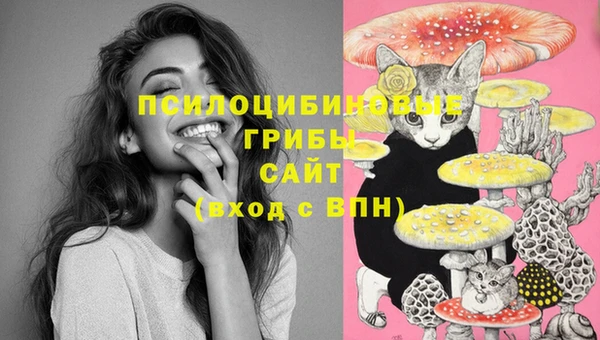 индика Алексин