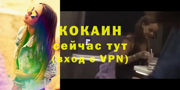 индика Алексин