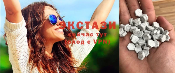 индика Алексин