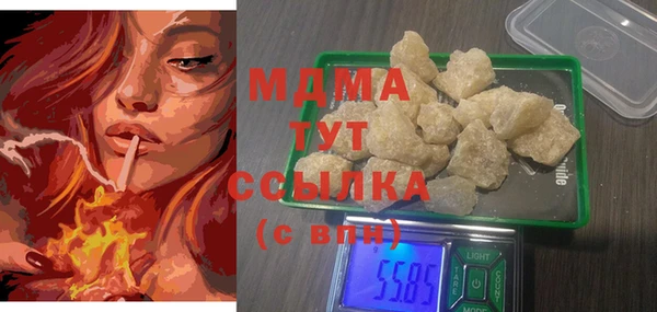 индика Алексин