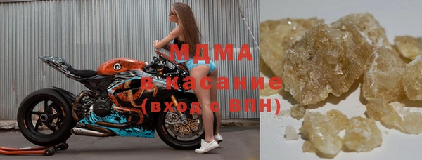 индика Алексин