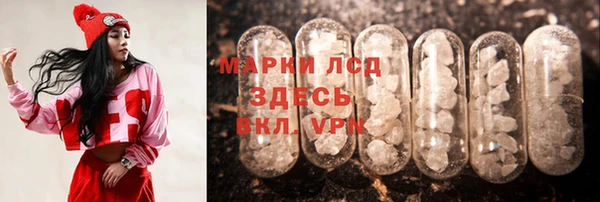 индика Алексин