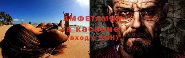 индика Алексин