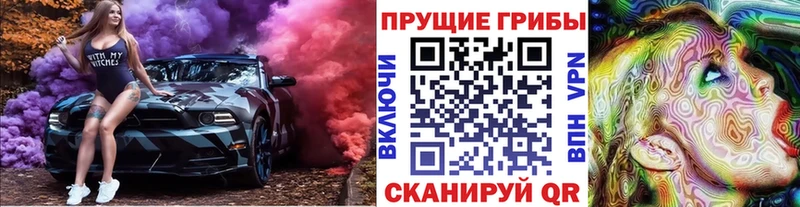 blacksprut ссылка  маркетплейс наркотические препараты  Псилоцибиновые грибы Cubensis  как найти закладки  Холм 
